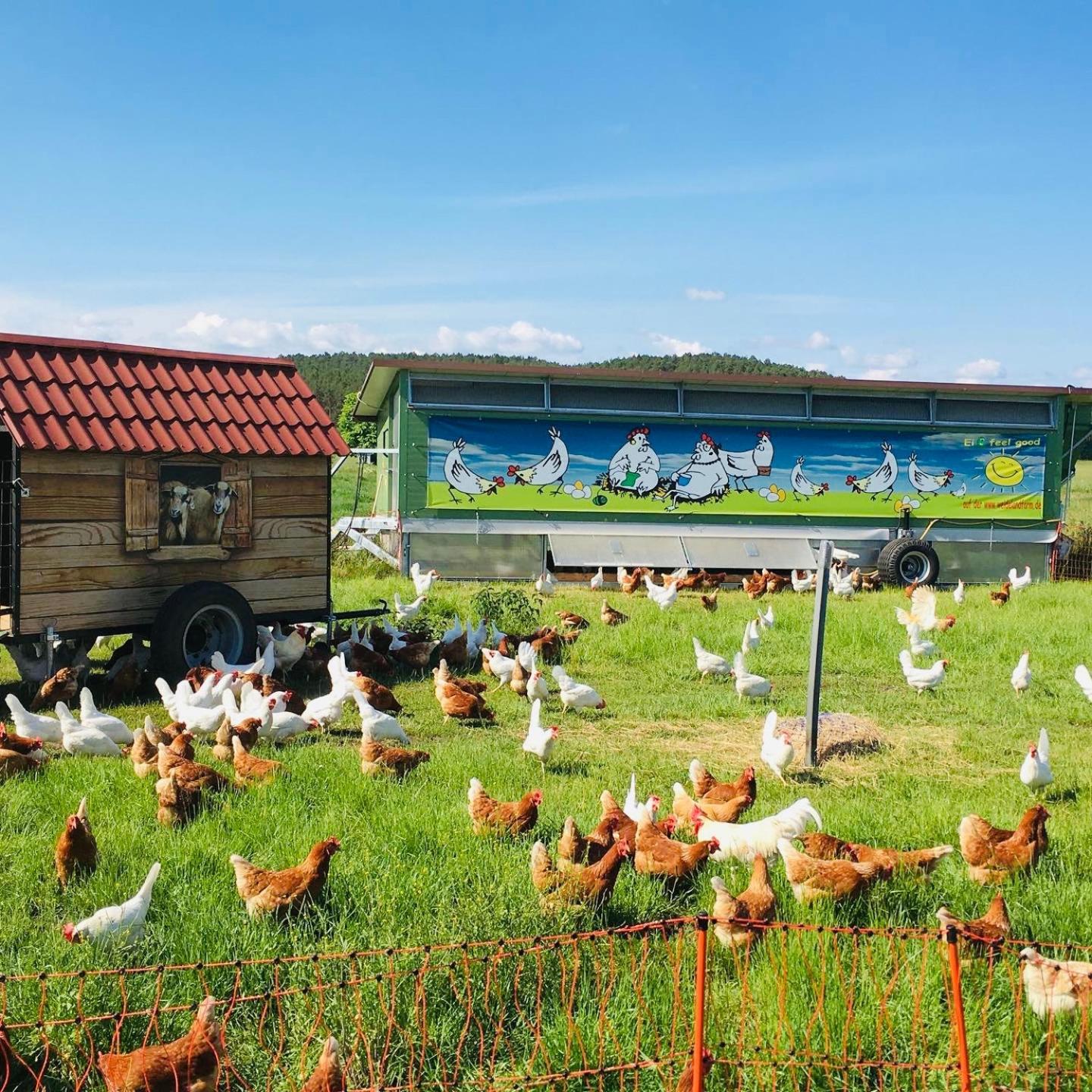 Weidelandfarm Am Riebener See Διαμέρισμα Beelitz Εξωτερικό φωτογραφία